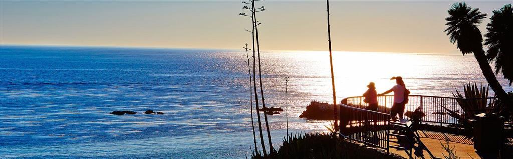 Laguna Beach House Удобства фото